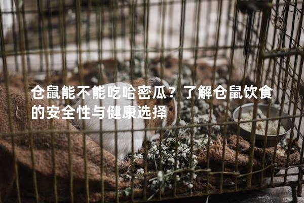 仓鼠能不能吃哈密瓜？了解仓鼠饮食的安全性与健康选择