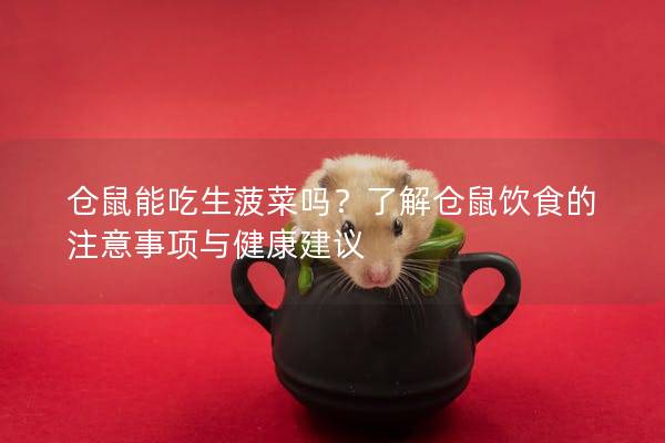 仓鼠能吃生菠菜吗？了解仓鼠饮食的注意事项与健康建议