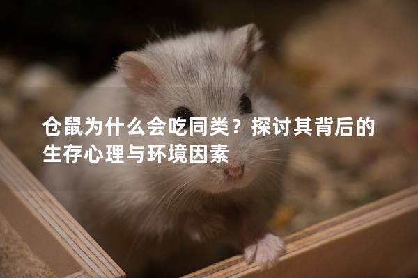 仓鼠为什么会吃同类？探讨其背后的生存心理与环境因素