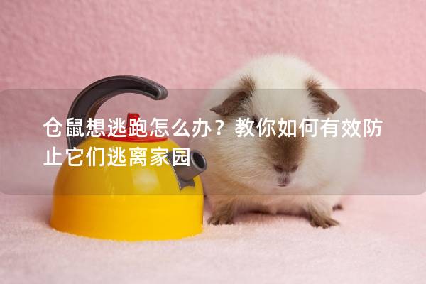 仓鼠想逃跑怎么办？教你如何有效防止它们逃离家园
