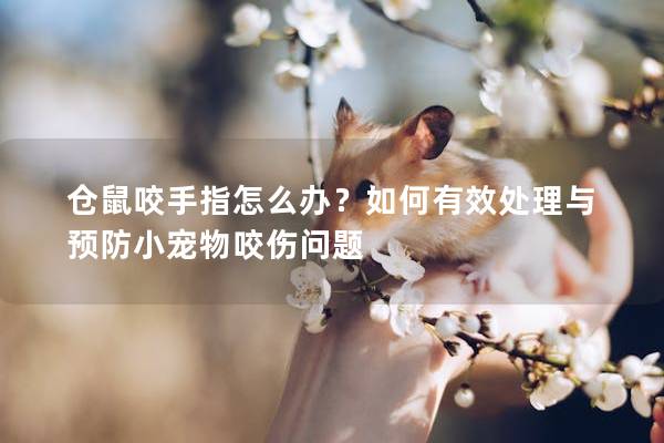 仓鼠咬手指怎么办？如何有效处理与预防小宠物咬伤问题