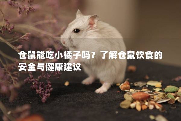 仓鼠能吃小橘子吗？了解仓鼠饮食的安全与健康建议