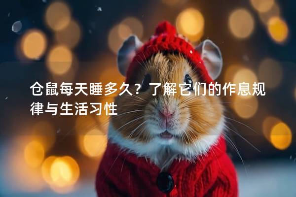 仓鼠每天睡多久？了解它们的作息规律与生活习性