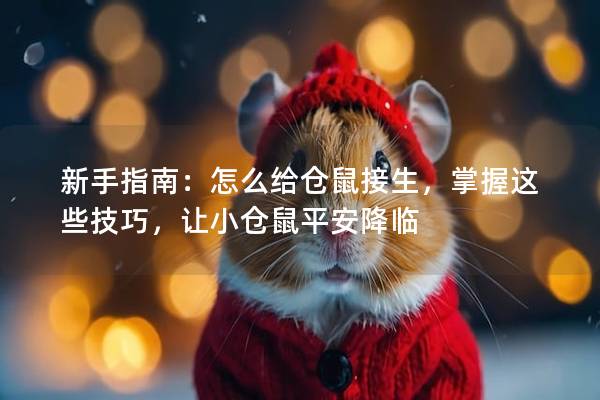 新手指南：怎么给仓鼠接生，掌握这些技巧，让小仓鼠平安降临
