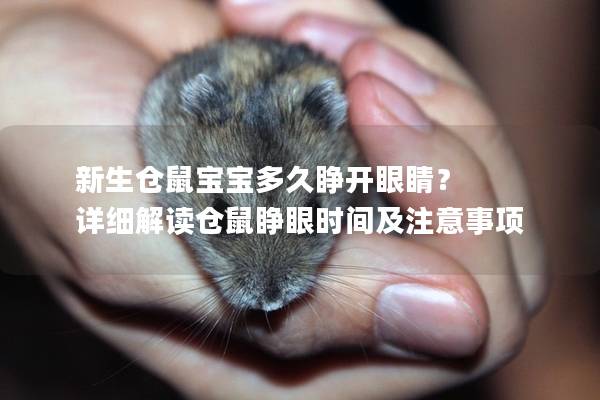 新生仓鼠宝宝多久睁开眼睛？ 详细解读仓鼠睁眼时间及注意事项