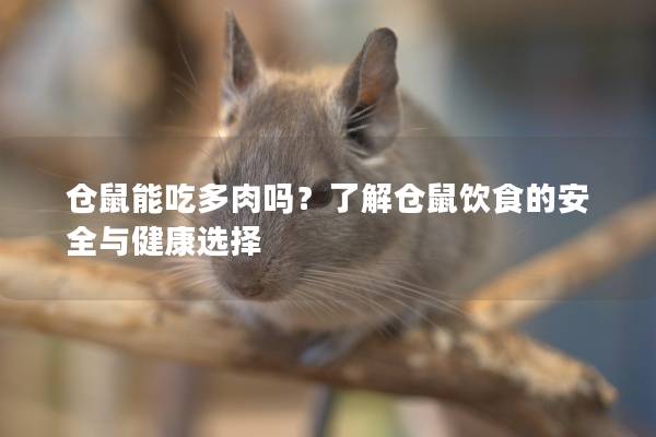 仓鼠能吃多肉吗？了解仓鼠饮食的安全与健康选择