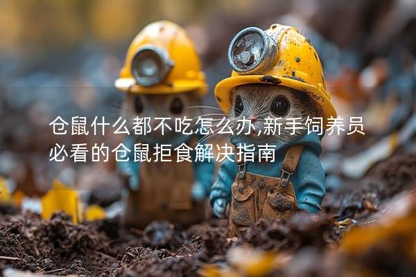 仓鼠什么都不吃怎么办,新手饲养员必看的仓鼠拒食解决指南