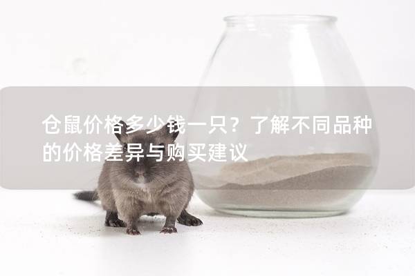 仓鼠价格多少钱一只？了解不同品种的价格差异与购买建议