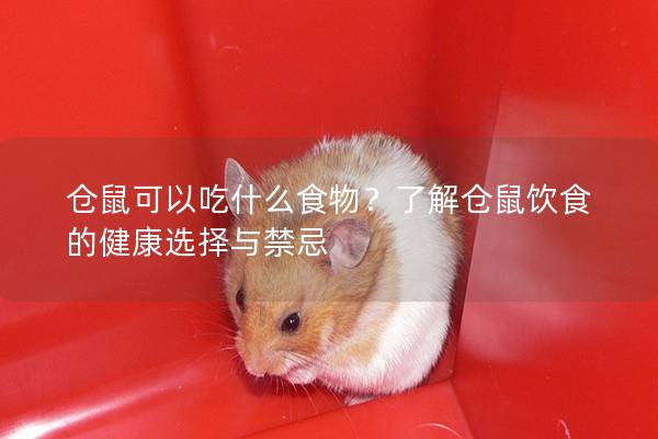 仓鼠可以吃什么食物？了解仓鼠饮食的健康选择与禁忌