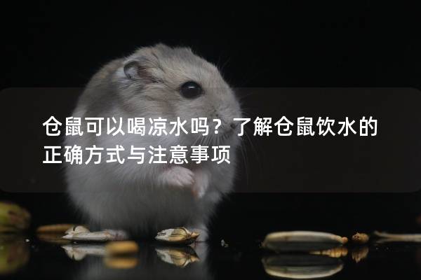仓鼠可以喝凉水吗？了解仓鼠饮水的正确方式与注意事项