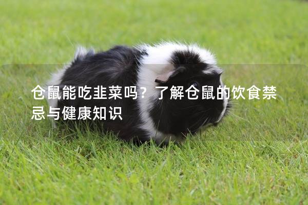 仓鼠能吃韭菜吗？了解仓鼠的饮食禁忌与健康知识