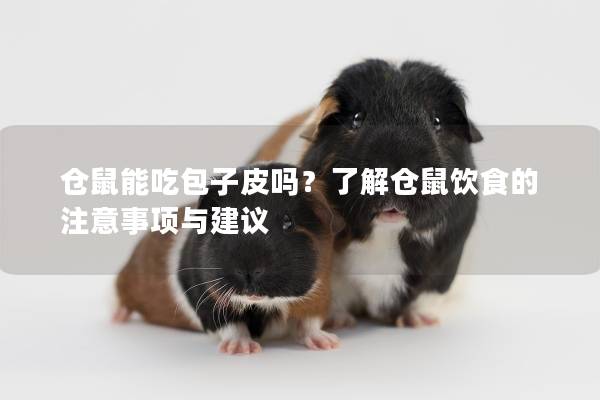 仓鼠能吃包子皮吗？了解仓鼠饮食的注意事项与建议