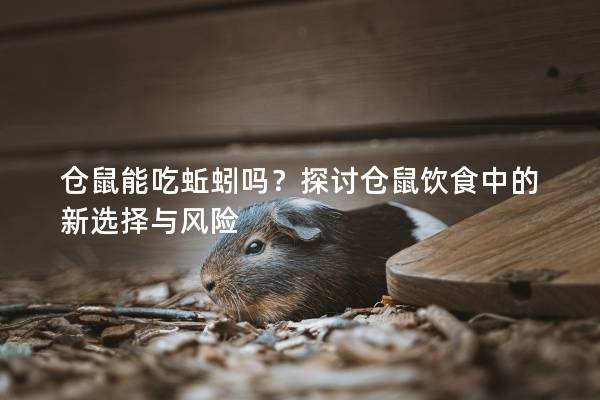 仓鼠能吃蚯蚓吗？探讨仓鼠饮食中的新选择与风险