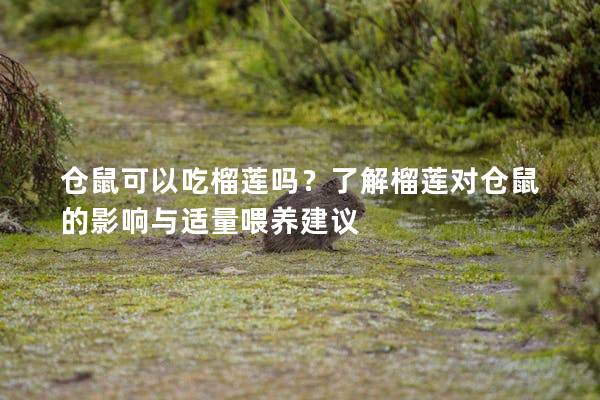仓鼠可以吃榴莲吗？了解榴莲对仓鼠的影响与适量喂养建议