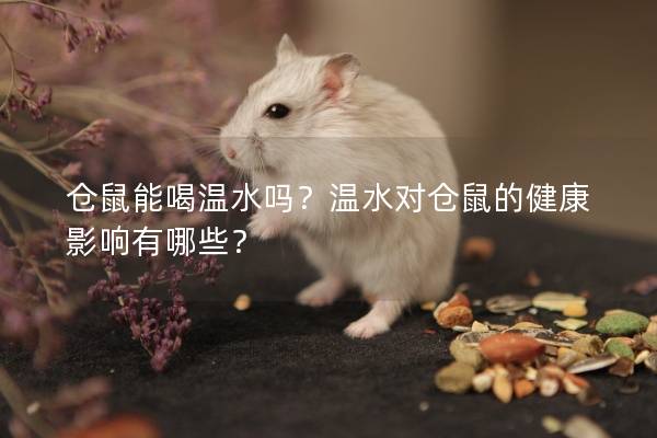 仓鼠能喝温水吗？温水对仓鼠的健康影响有哪些？