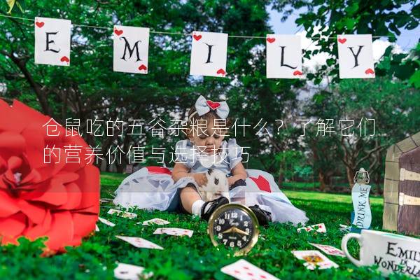 仓鼠吃的五谷杂粮是什么？了解它们的营养价值与选择技巧