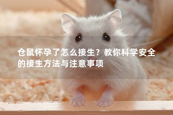 仓鼠怀孕了怎么接生？教你科学安全的接生方法与注意事项