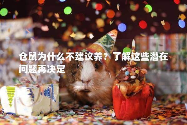 仓鼠为什么不建议养？了解这些潜在问题再决定