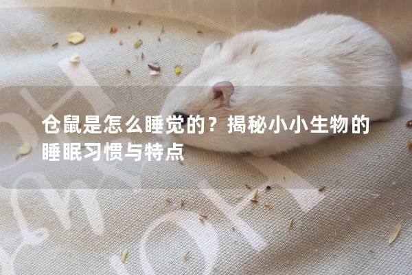仓鼠是怎么睡觉的？揭秘小小生物的睡眠习惯与特点