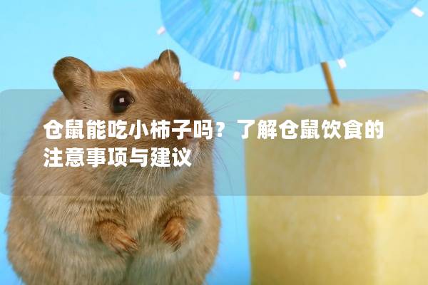仓鼠能吃小柿子吗？了解仓鼠饮食的注意事项与建议
