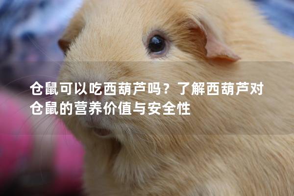 仓鼠可以吃西葫芦吗？了解西葫芦对仓鼠的营养价值与安全性