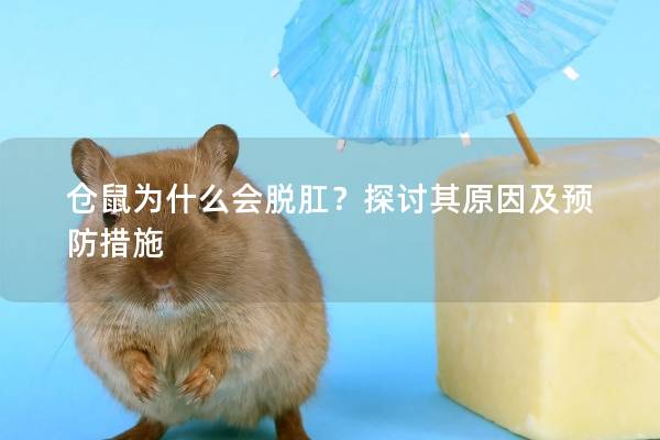 仓鼠为什么会脱肛？探讨其原因及预防措施