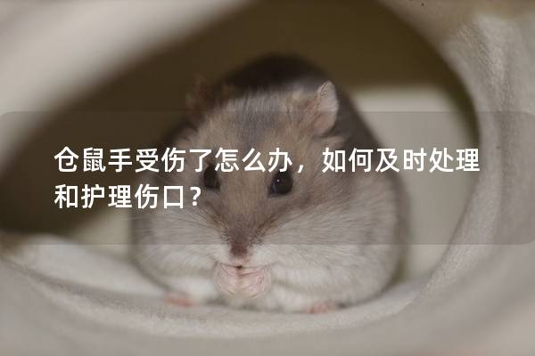 仓鼠手受伤了怎么办，如何及时处理和护理伤口？