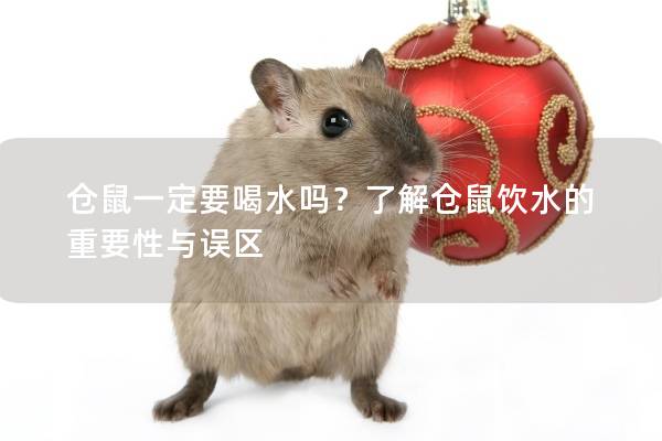 仓鼠一定要喝水吗？了解仓鼠饮水的重要性与误区