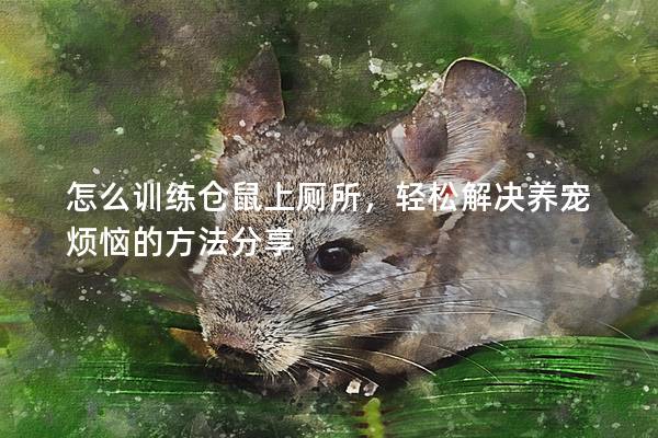 怎么训练仓鼠上厕所，轻松解决养宠烦恼的方法分享