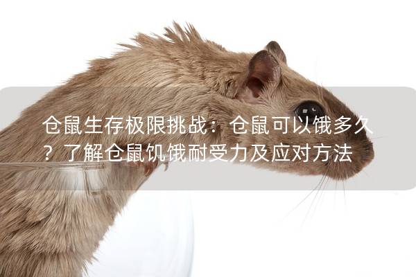 仓鼠生存极限挑战：仓鼠可以饿多久？了解仓鼠饥饿耐受力及应对方法