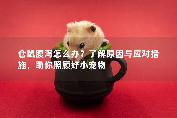 仓鼠腹泻怎么办？了解原因与应对措施，助你照顾好小宠物