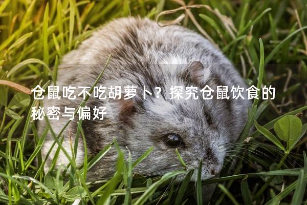 仓鼠吃不吃胡萝卜？探究仓鼠饮食的秘密与偏好