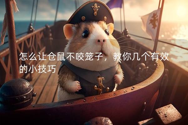 怎么让仓鼠不咬笼子，教你几个有效的小技巧
