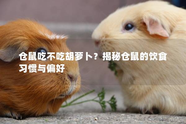 仓鼠吃不吃胡萝卜？揭秘仓鼠的饮食习惯与偏好