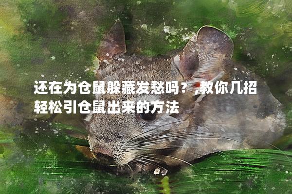 还在为仓鼠躲藏发愁吗？,教你几招轻松引仓鼠出来的方法