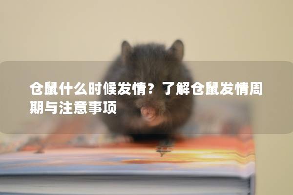 仓鼠什么时候发情？了解仓鼠发情周期与注意事项
