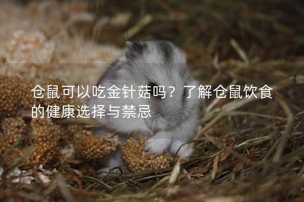 仓鼠可以吃金针菇吗？了解仓鼠饮食的健康选择与禁忌