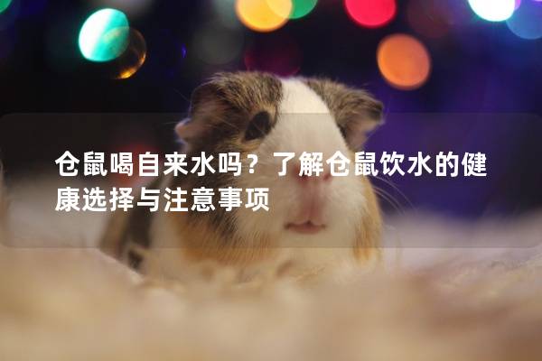 仓鼠喝自来水吗？了解仓鼠饮水的健康选择与注意事项