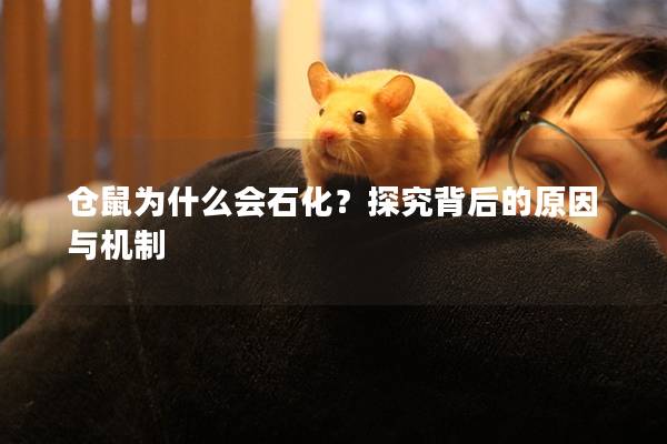 仓鼠为什么会石化？探究背后的原因与机制