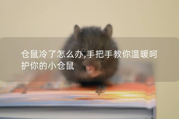 仓鼠冷了怎么办,手把手教你温暖呵护你的小仓鼠