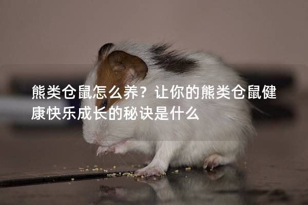 熊类仓鼠怎么养？让你的熊类仓鼠健康快乐成长的秘诀是什么