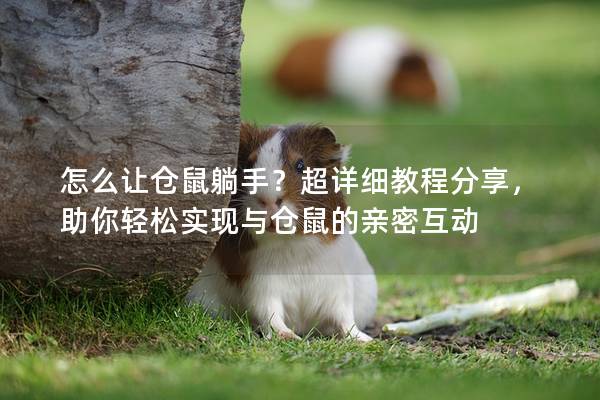怎么让仓鼠躺手？超详细教程分享，助你轻松实现与仓鼠的亲密互动