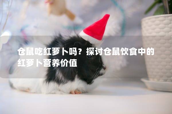 仓鼠吃红萝卜吗？探讨仓鼠饮食中的红萝卜营养价值