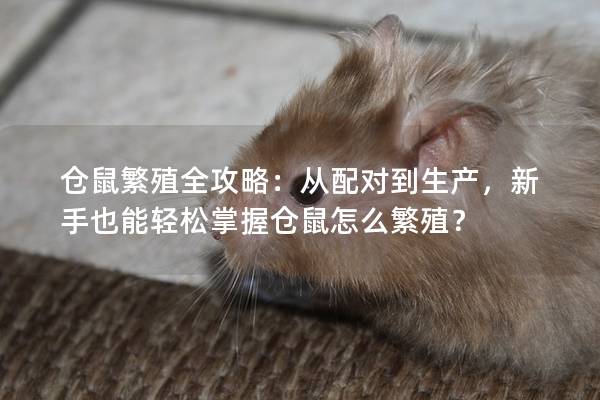 仓鼠繁殖全攻略：从配对到生产，新手也能轻松掌握仓鼠怎么繁殖？