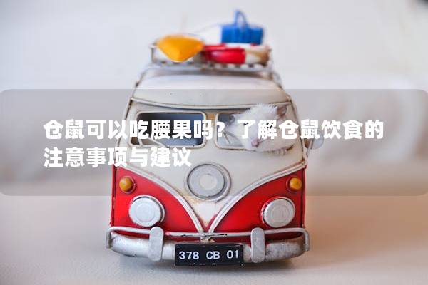 仓鼠可以吃腰果吗？了解仓鼠饮食的注意事项与建议