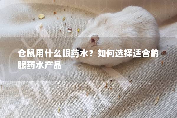 仓鼠用什么眼药水？如何选择适合的眼药水产品