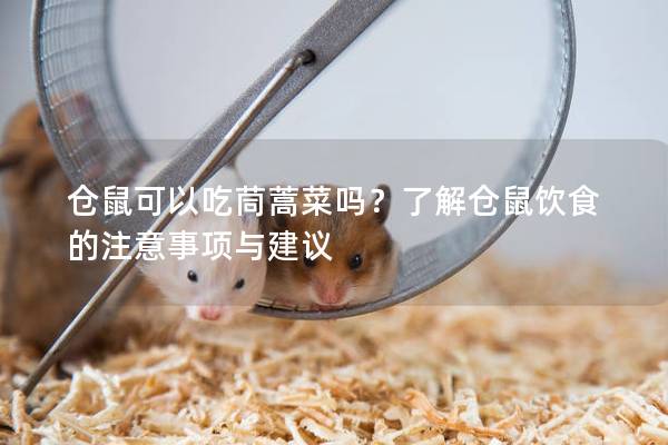 仓鼠可以吃茼蒿菜吗？了解仓鼠饮食的注意事项与建议