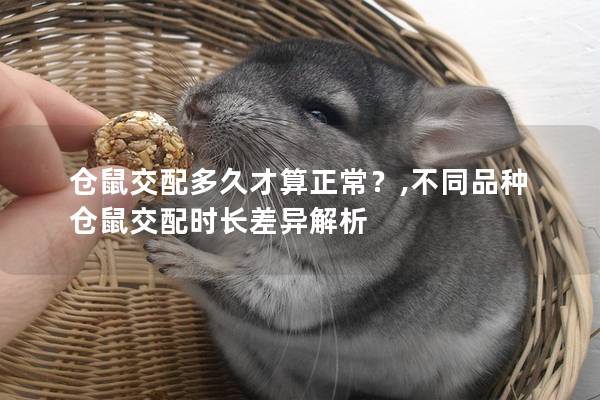仓鼠交配多久才算正常？,不同品种仓鼠交配时长差异解析