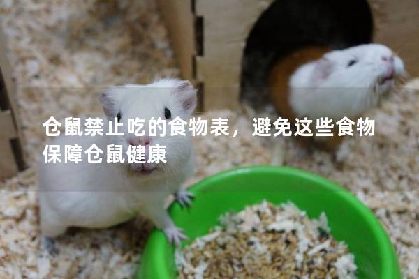 仓鼠禁止吃的食物表，避免这些食物保障仓鼠健康