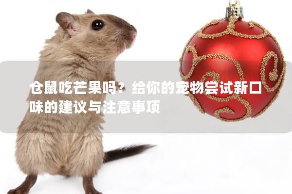 仓鼠吃芒果吗？给你的宠物尝试新口味的建议与注意事项